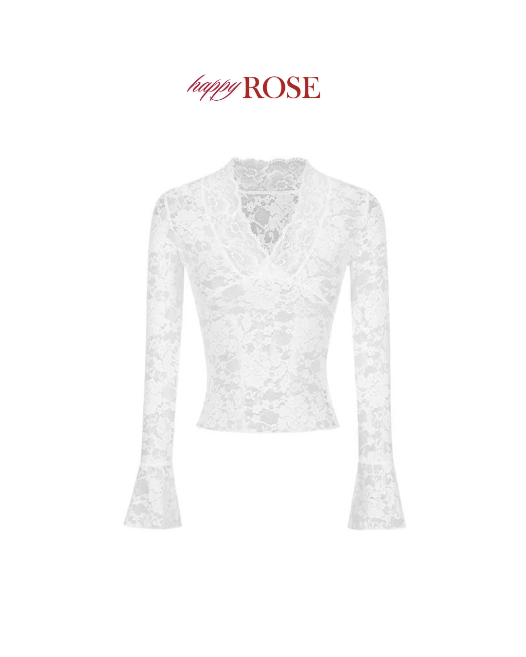 Sheer Lace V-Neck Top