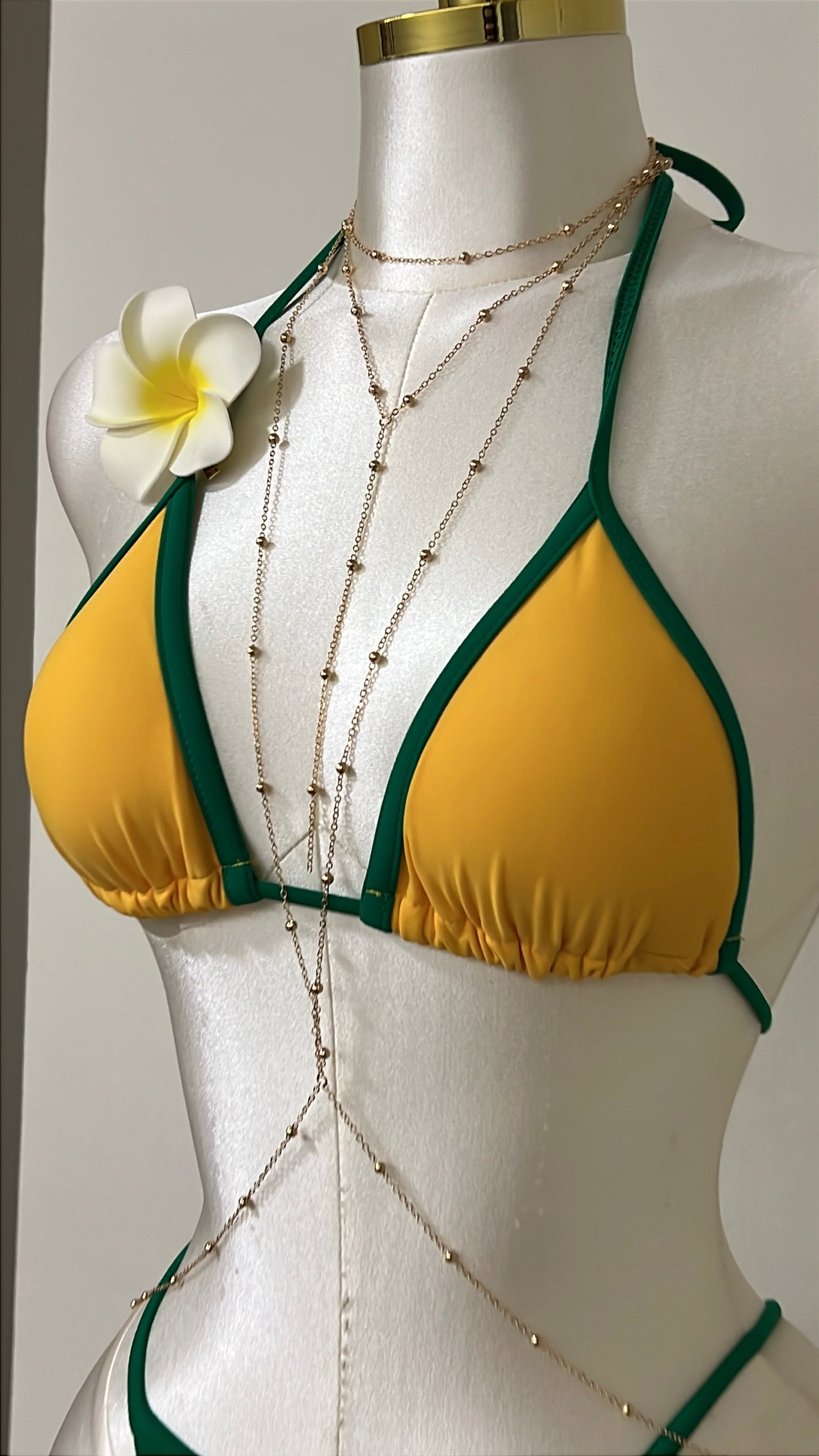 Brazilia Swim