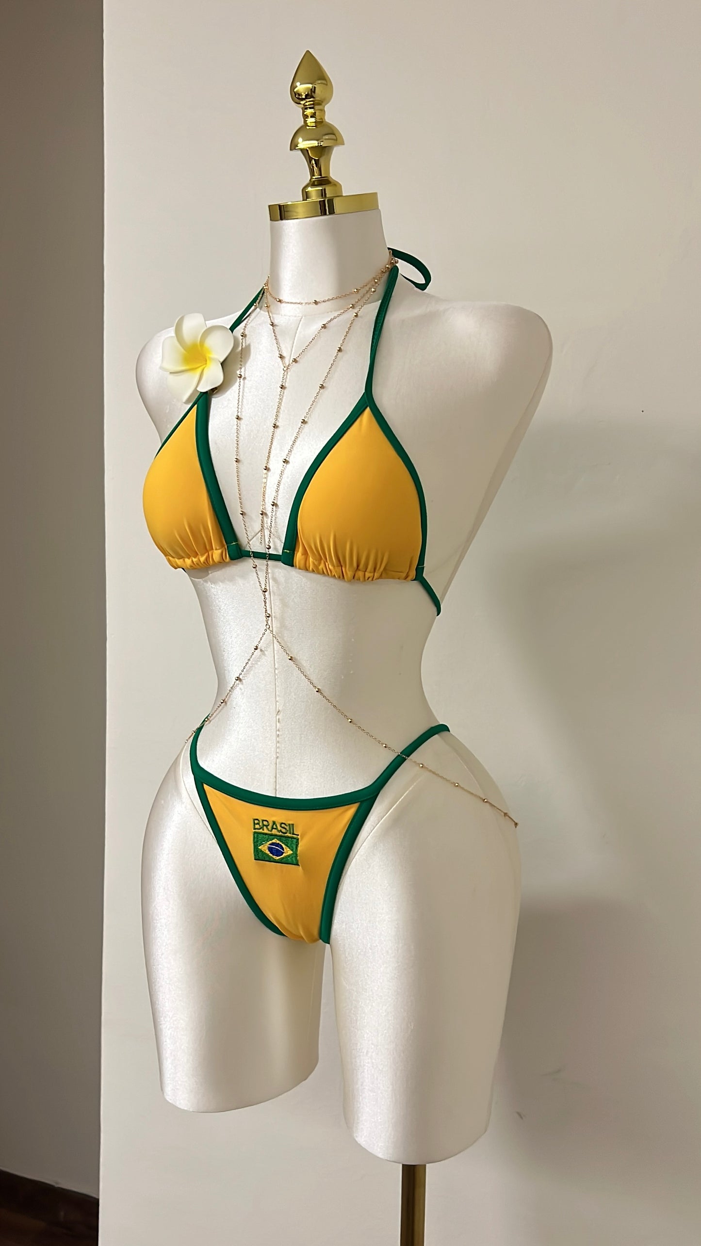 Brazilia Swim