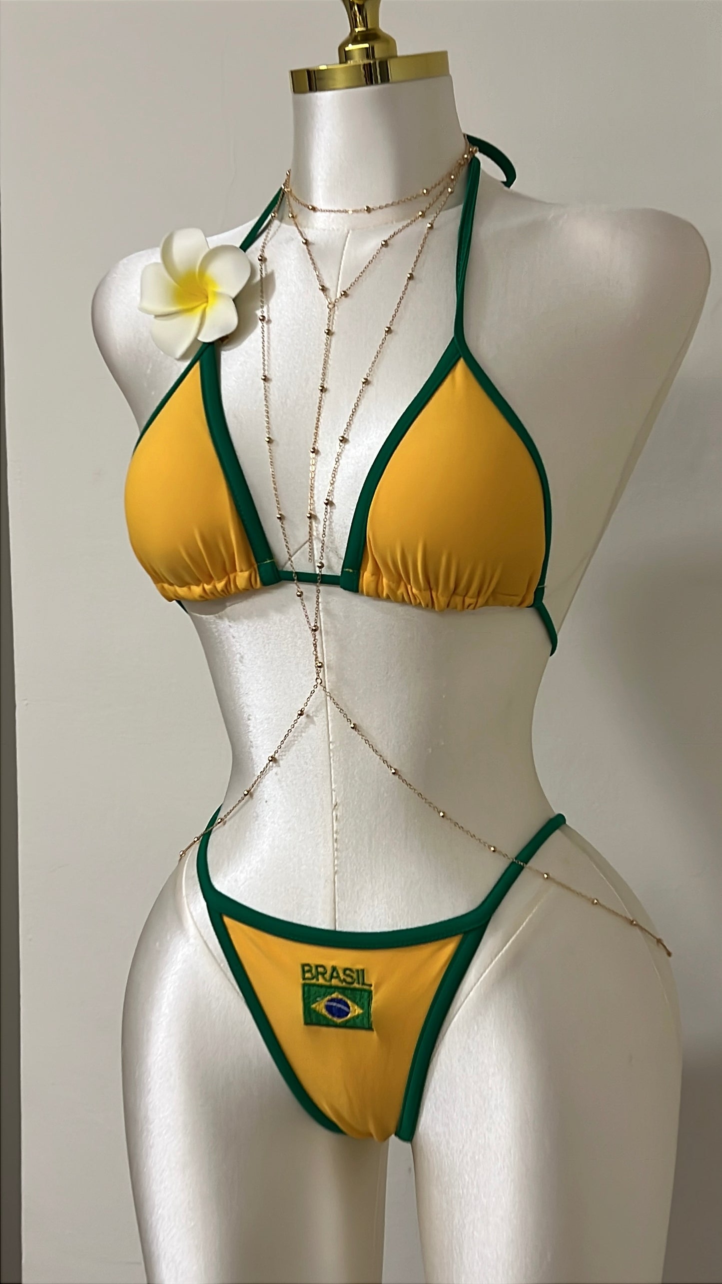 Brazilia Swim